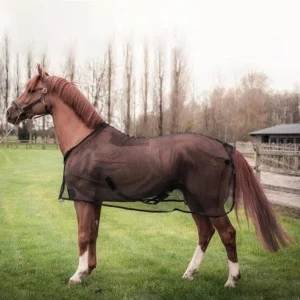 Breathable Horse Fly Sheet