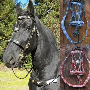 Leather Horse Halter & Lead Rope