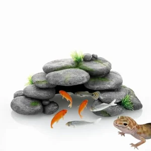 Natural Reptile Rock Cave