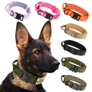 Title: Tactical Dog Collar Leash Set