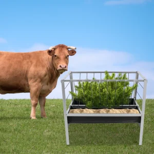 Title: Galvanized Livestock Feed Trough