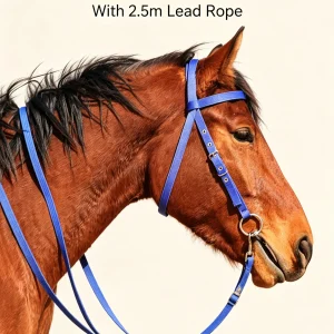 Adjustable Nylon Horse Halter & Lead Rope