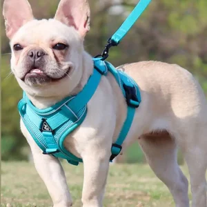 Reflective Escape-Proof Pet Harness & Leash Set