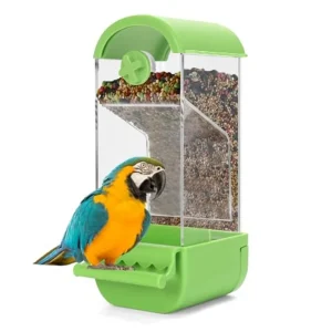 No-Spill Bird Feeder